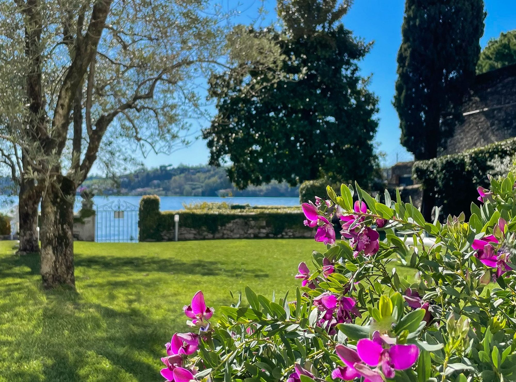 Garden with flowers and view of the beach