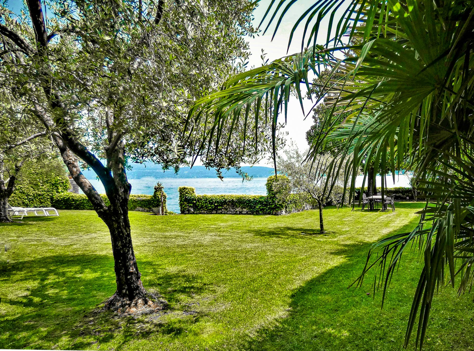 garden with palm trees and Lake Garda behind